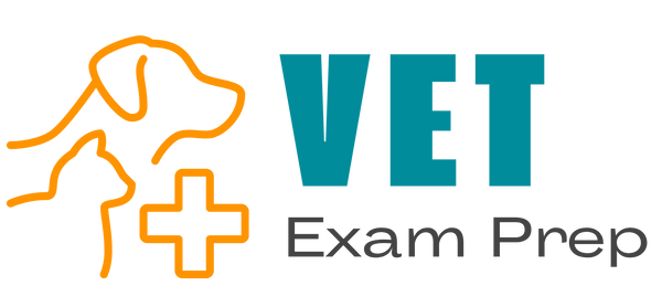 vet exam prep